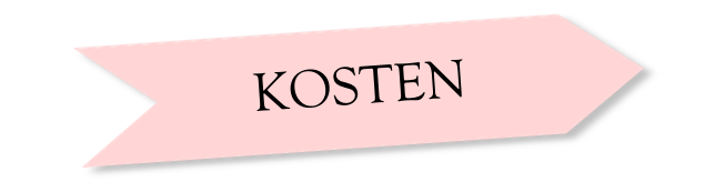 Navi_Kosten