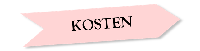 Navi_Kosten